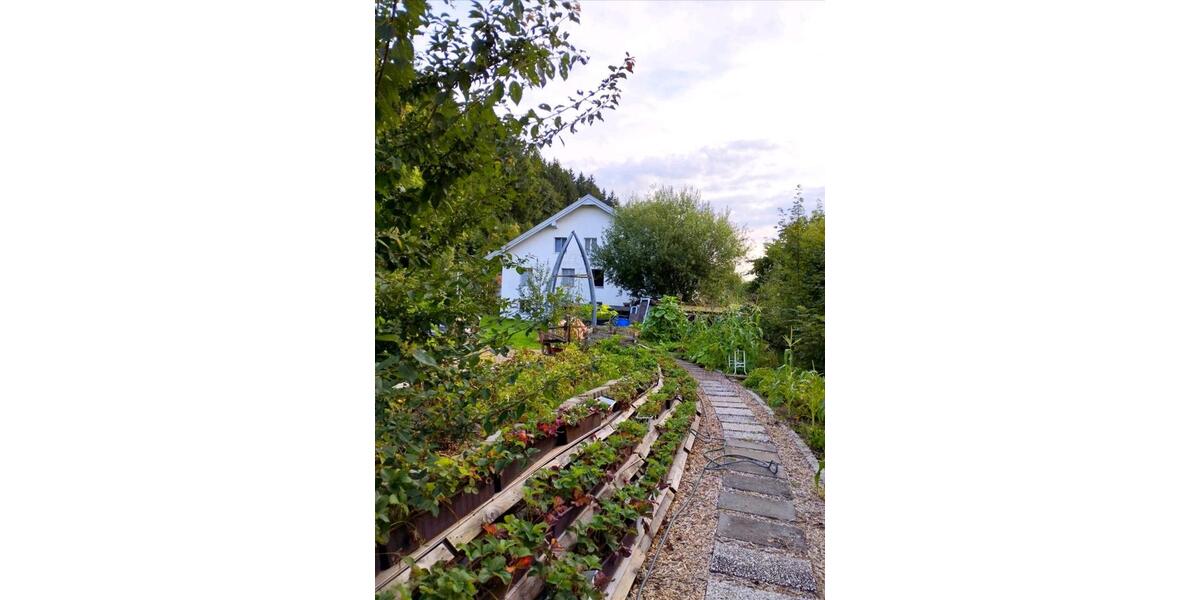 Bauernhaus, Landhaus Sulzberg - 10 Zimmer, 245 m&sup2;, 499.000&euro; | Angebot:26044942