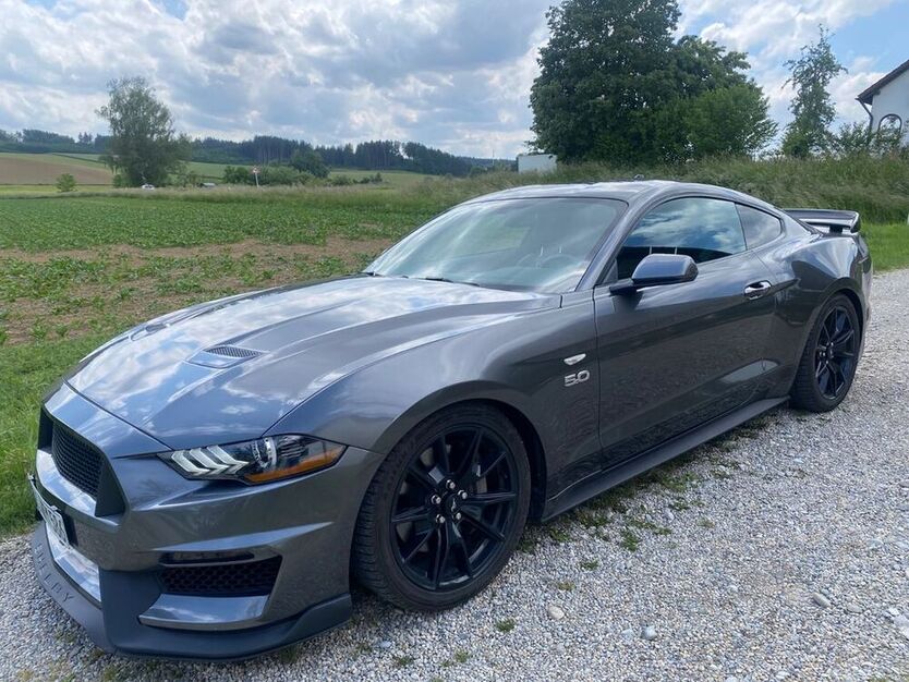 Mustang