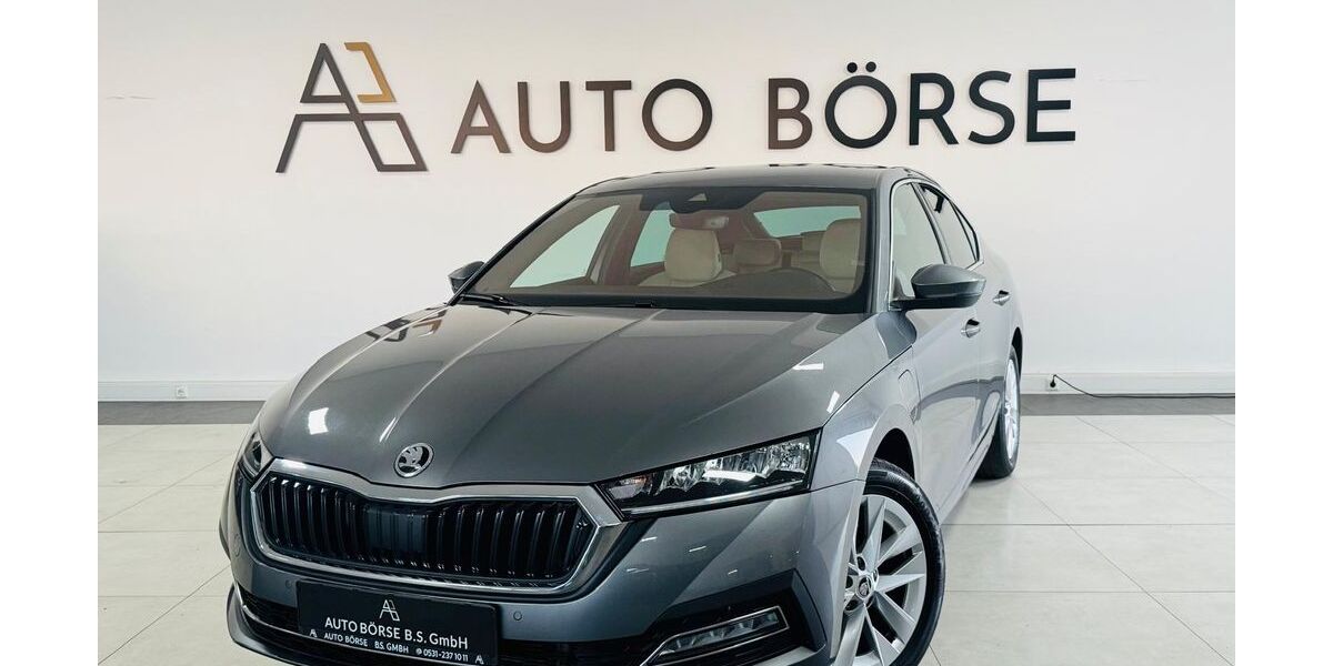 Skoda Octavia 124.130 km 18.890 &euro; Braunschweig 38114