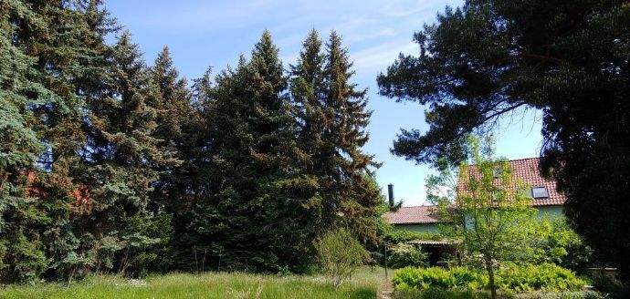 *** GROSSE FAMILIEN WILKOMMEN *** 4 zimmer