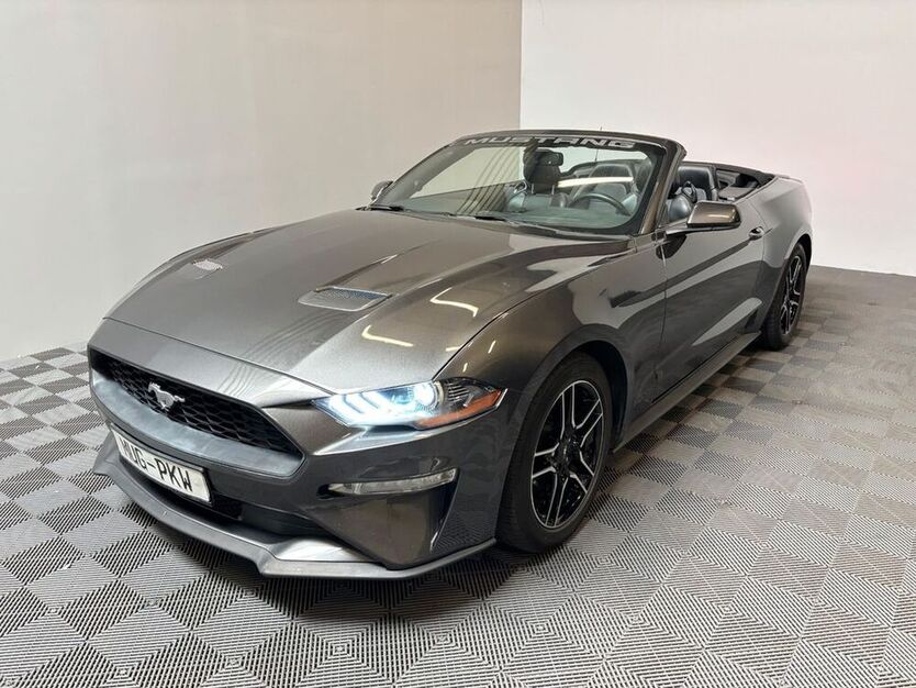 Mustang