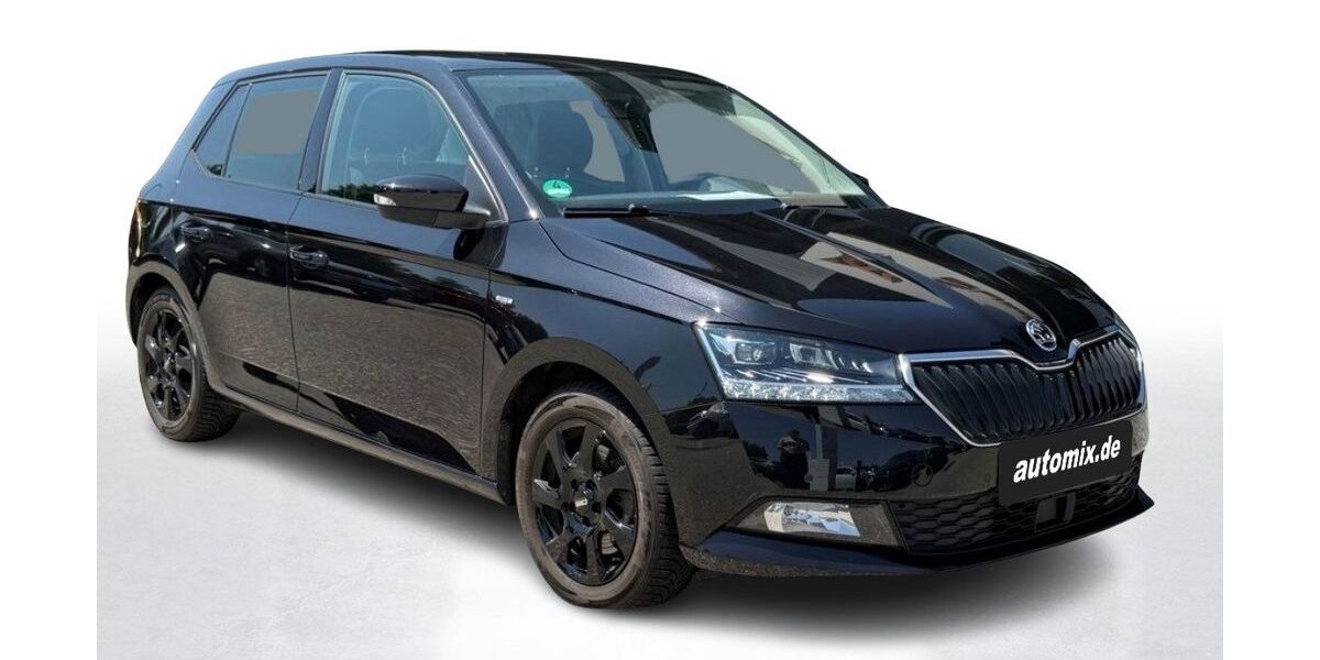Skoda Fabia 57.399 km 16.900 &euro; Gadebusch 19205