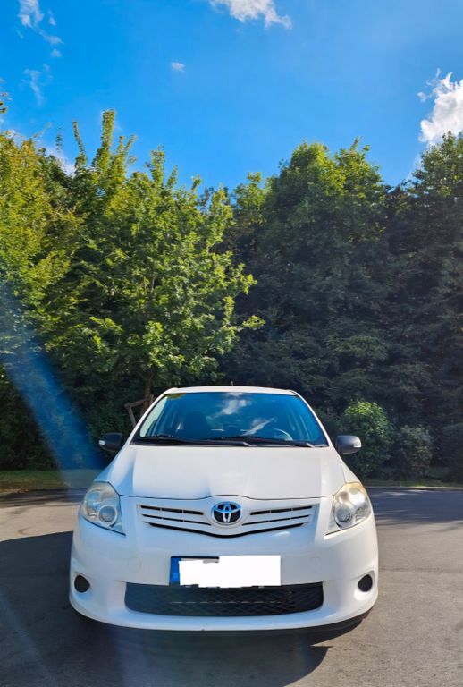 Auris