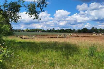 Grundstück Schönwald - 99.990&euro; | Angebot:25406703