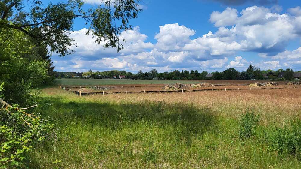 Grundstück Schönwald - 99.990&euro; | Angebot:25406703