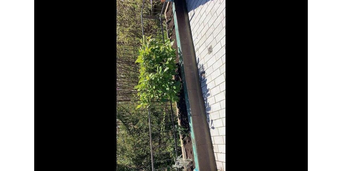 2-Zimmer-Wohnung 2 zimmer