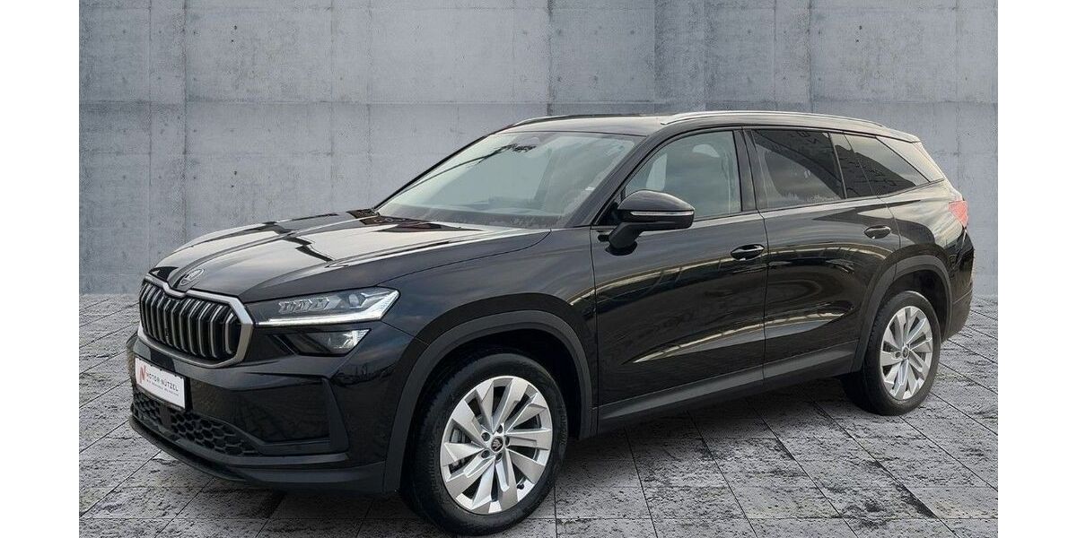 Skoda Kodiaq 2.000 km 58.470 &euro; Hof 95030