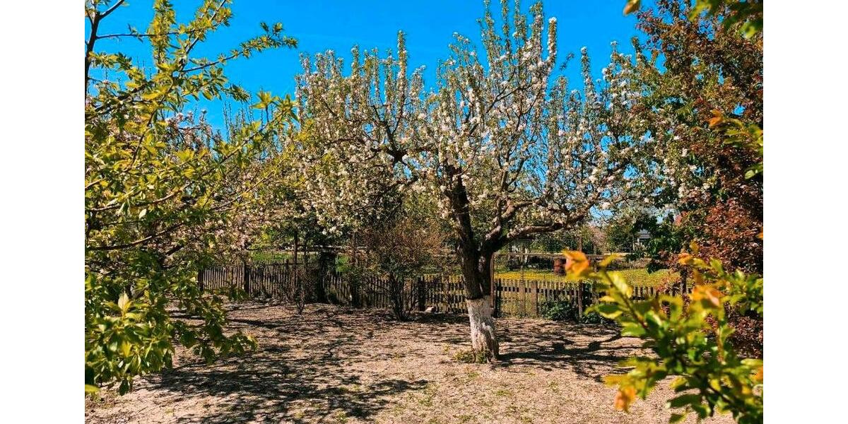 Einfamilienhaus Osterhofen - 6 Zimmer, 145 m&sup2;, 449.000&euro; | Angebot:26642154