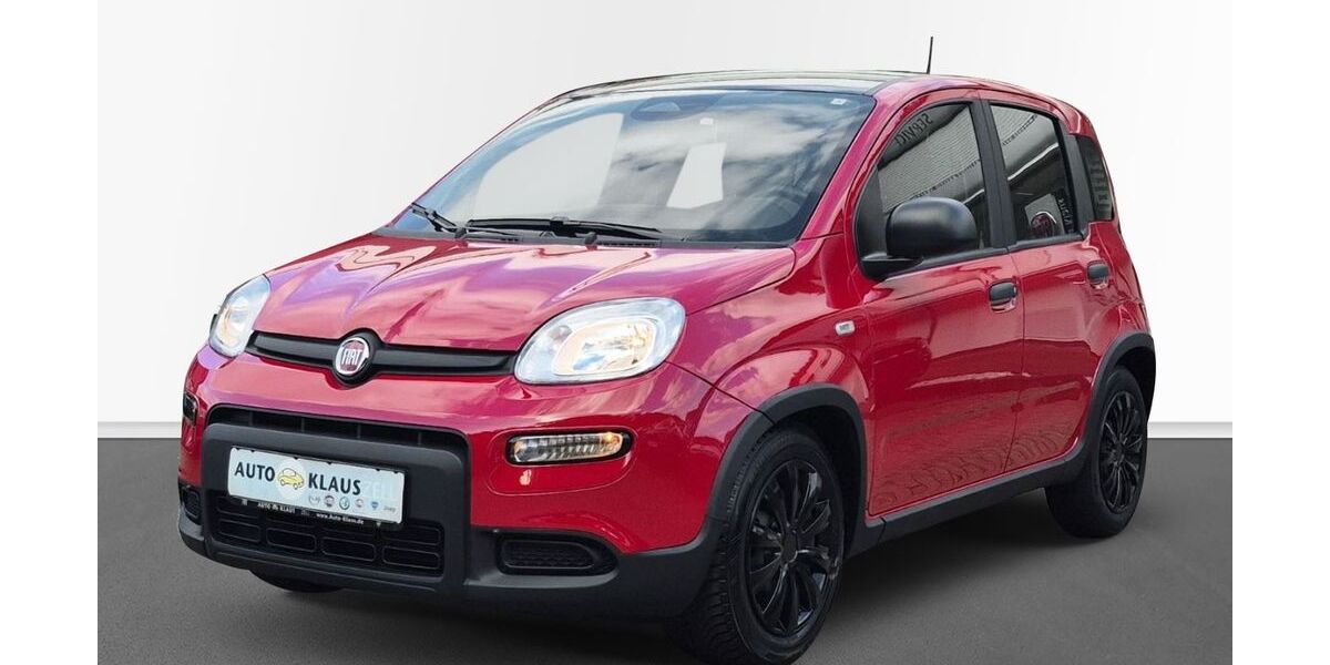 Fiat Panda 4.500 km 13.970 &euro; Zell 56856