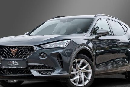 Cupra Formentor 30.000 km 29.949 € Roigheim 74255