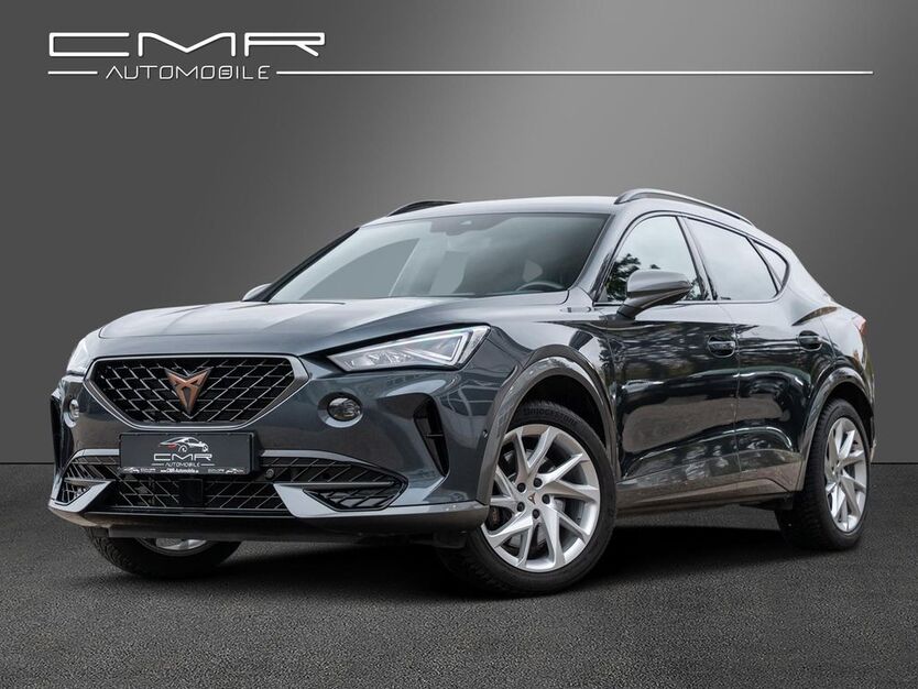 Cupra Formentor 30.000 km 29.949 € Roigheim 74255