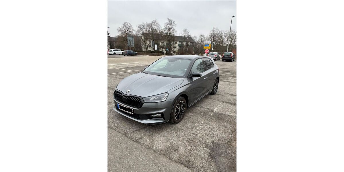 Skoda Fabia 8.200 km 22.950 &euro; Hamburg 22359