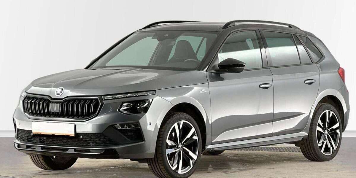 Skoda Kamiq 19.750 km 28.990 &euro; Pegau 04523