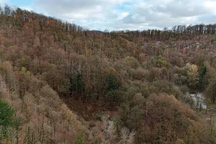 Grundstück Bad Lauterberg im Harz - 6.000&euro; | Angebot:26246309