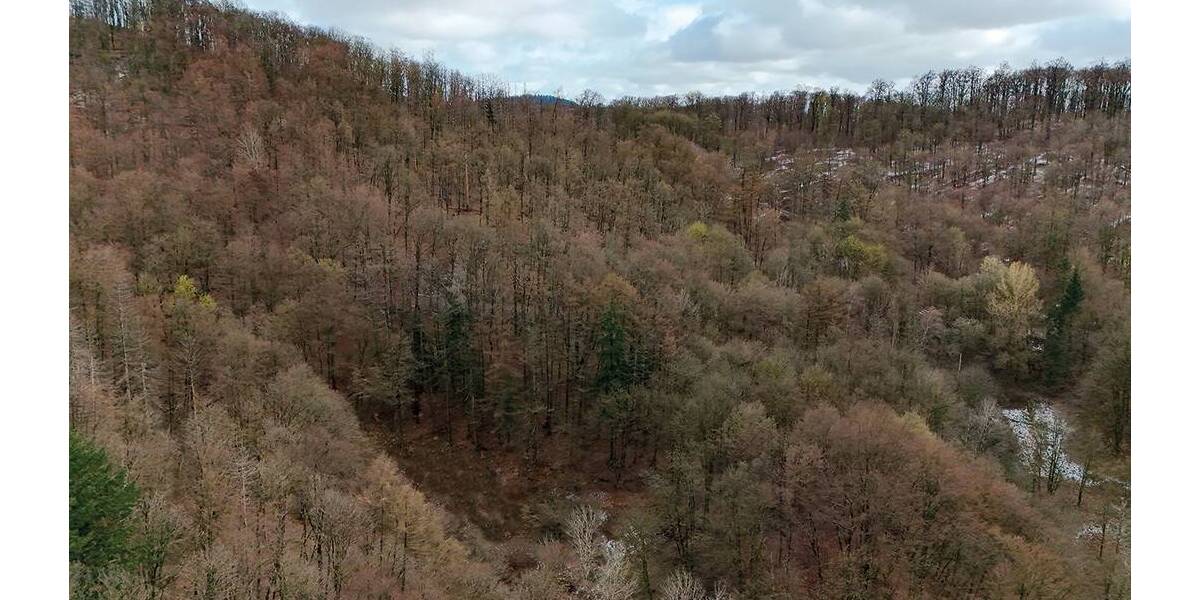 Grundstück Bad Lauterberg im Harz - 6.000&euro; | Angebot:26246309