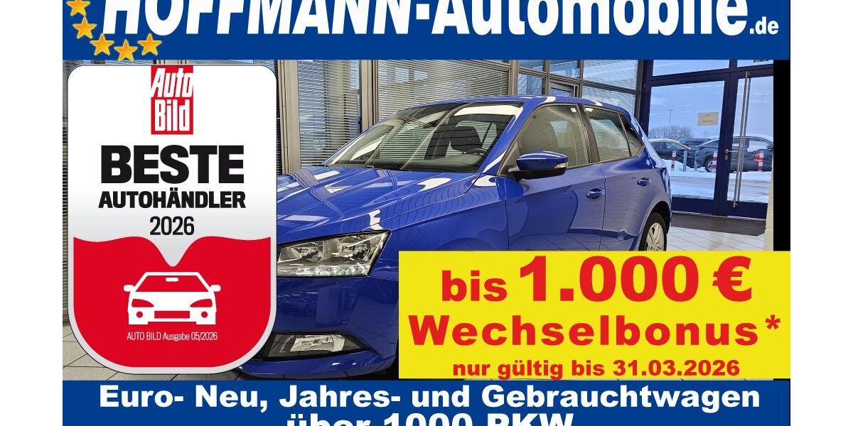 Skoda Fabia 45.906 km 12.900 &euro; Wolfsburg-Heiligendorf 38444