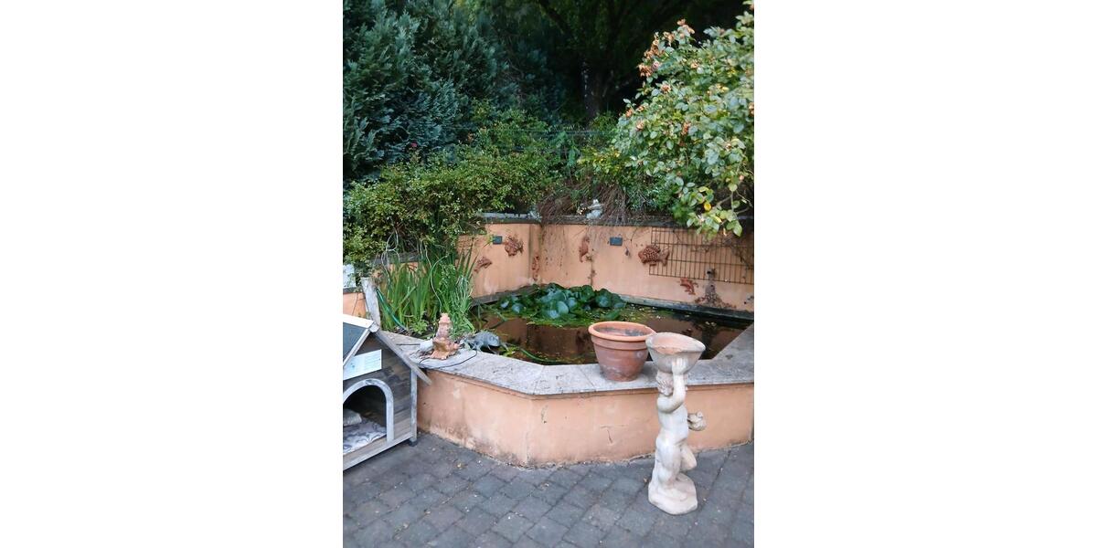 Einfamilienhaus Trier Feyen-Weismark - 1 Zimmer, 18 m&sup2;, 35.000&euro; | Angebot:27158191