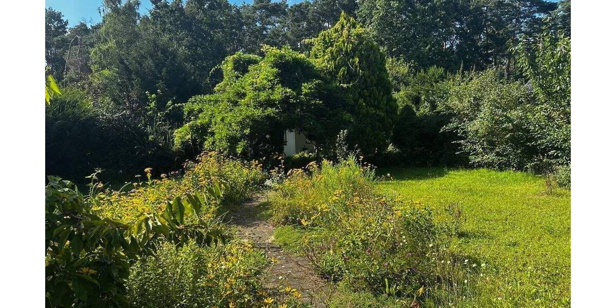 Grundstück Schulzendorf Siedlung Eichberg - 244.000&euro; | Angebot:24807061