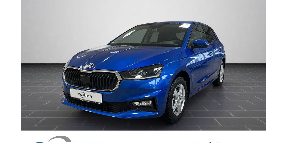 Skoda Fabia 6.900 km 23.890 &euro; Mannheim 68167