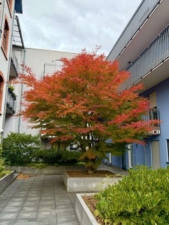 Wohnung zum Mieten in Frankfurt 1.399 € 91 m² 3 zimmer