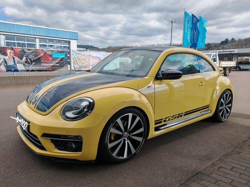 Beetle