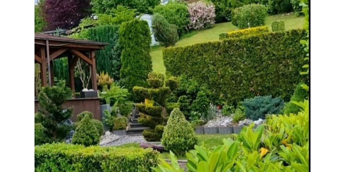 Einfamilienhaus Olpe - 450.000&euro; | Angebot:26178457