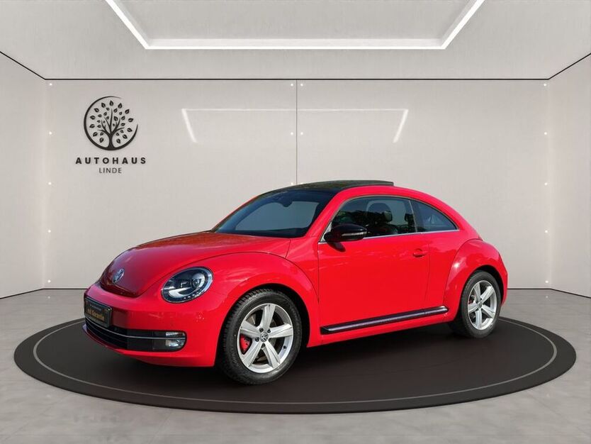 Beetle