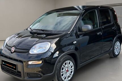Fiat Panda 21.600 km 10.990 € Ebersbach 73061