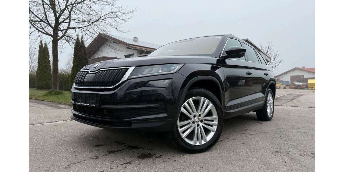 Skoda Kodiaq 117.901 km 22.990 &euro; Seeg 87637