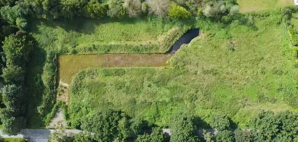 Wohnen im Grünen - 704 m² in Varel-Dangastermoor