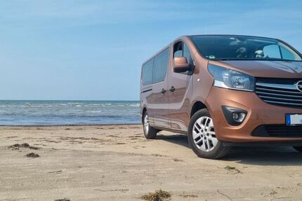 Opel Vivaro 116.000 km 20.999 &euro; Blankenhain 99444