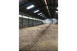 Lagerhalle, Betriebshof, Reithalle, Bauhof, Landwirtschaft, Stall zimmer