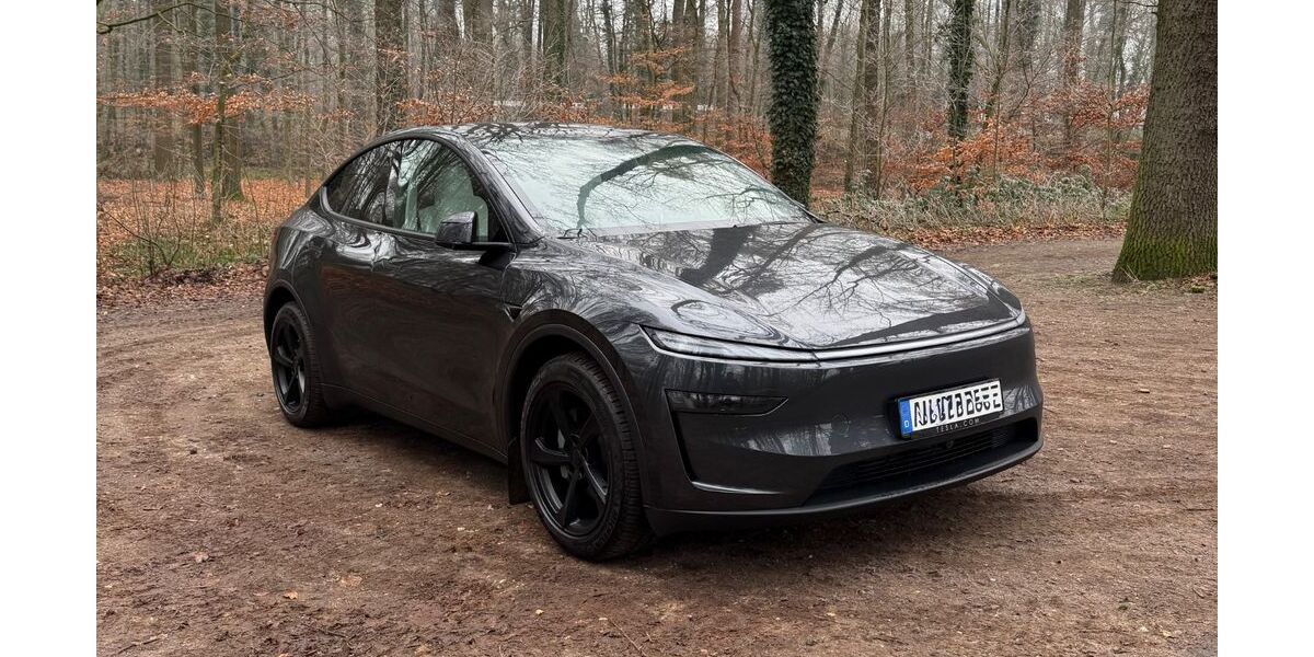 Tesla Model Y 8.650 km 52.700 &euro; Ahaus 48683