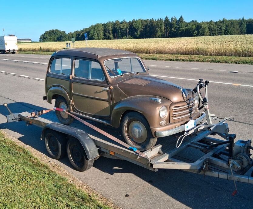 Topolino