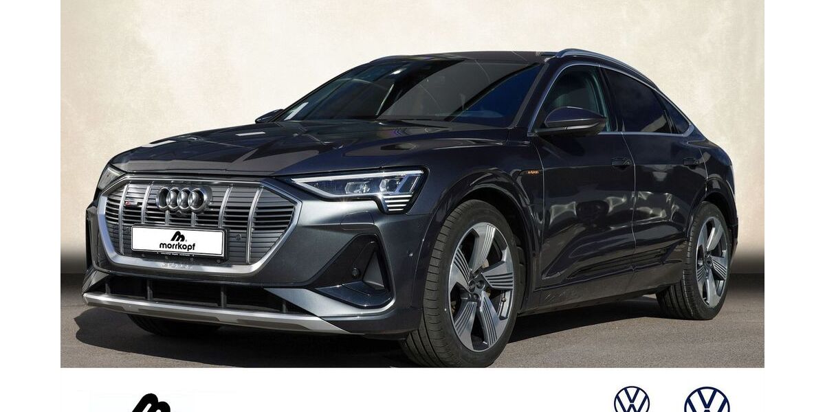 Audi e-tron 49.900 km 30.500 € Weingarten 76356