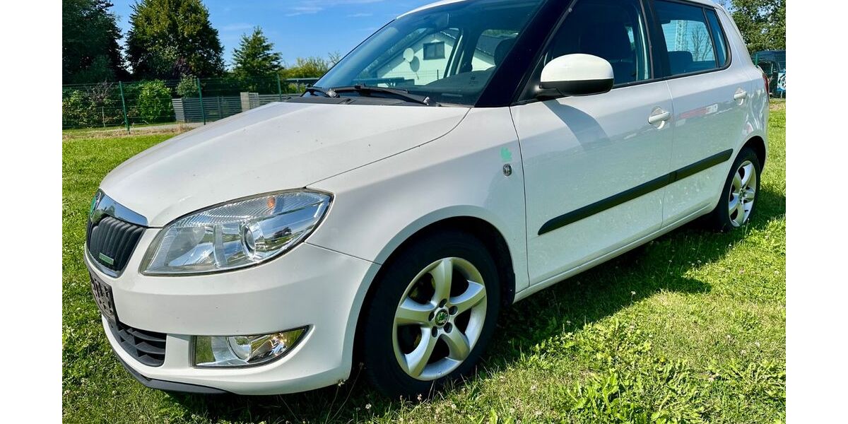 Skoda Fabia 263.845 km 1.500 &euro; Rostock 18147