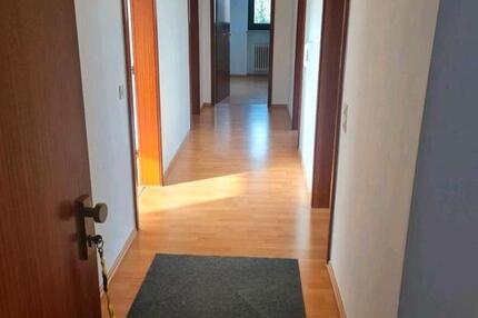 3 Zimmer DG Wohnung