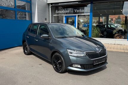 Skoda Fabia 110.000 km 12.199 &euro; Sonneberg 96515