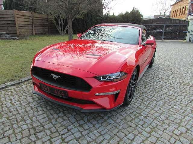 Mustang