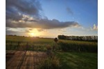 Leben, wo andere Urlaub machen! Pewsum vor den Toren Emdens! - Einfamilienhaus Krummhörn | Angebot:27208430