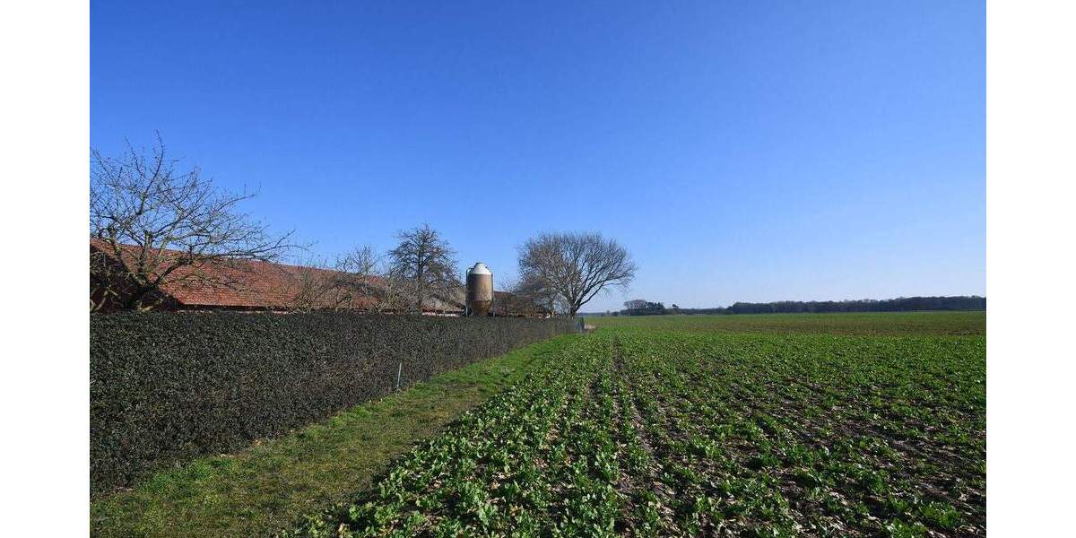 Mehrfamilienhaus, Wohnhaus Wagenfeld / Ströhen Ströhen - 8 Zimmer, 240 m&sup2;, 435.000&euro; | Angebot:25736482