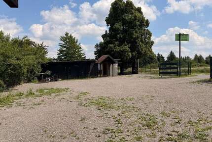 Gewerbeobjekt Freiberg - 250&euro; | Angebot:26947312