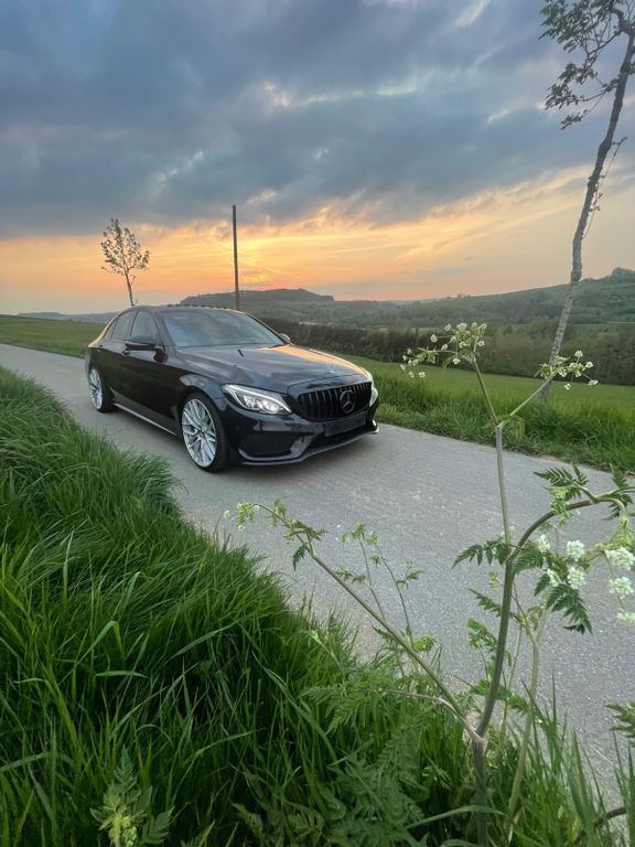 C 250