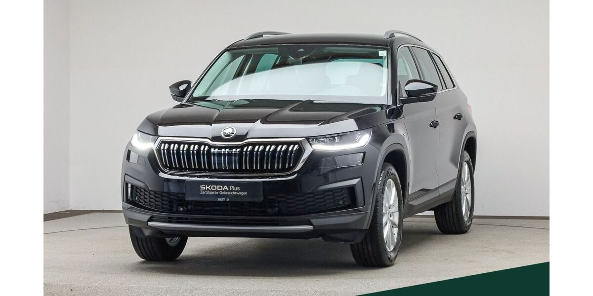 Skoda Kodiaq 55.600 km 28.488 € Mühlheim 63165