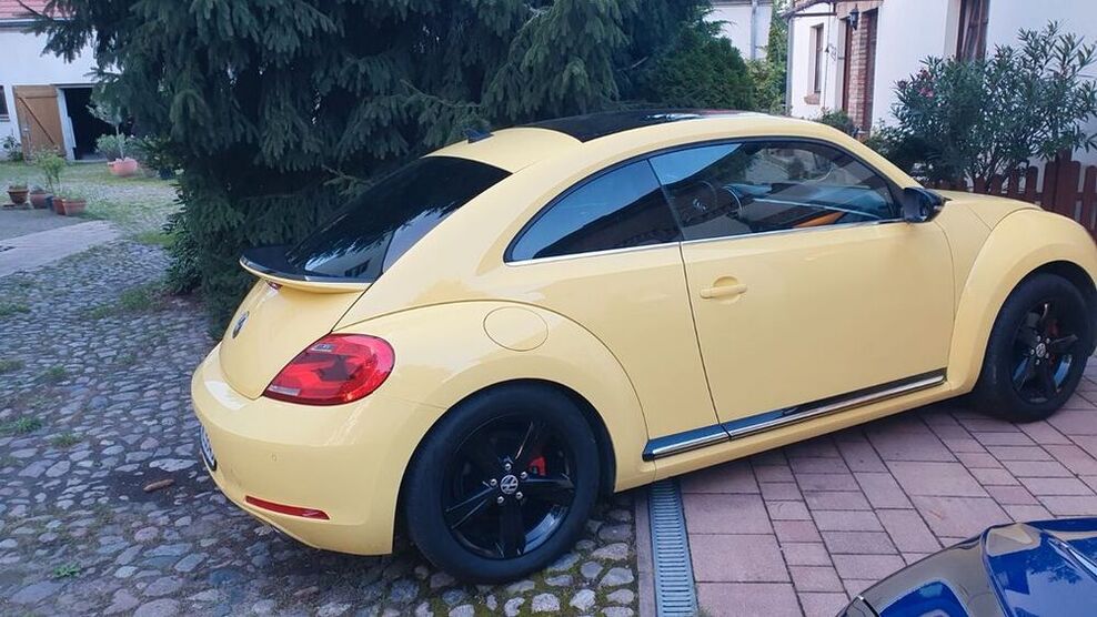 Beetle