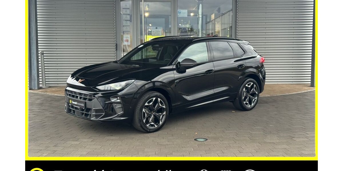 Cupra Terramar 11.700 km 36.650 &euro; Erlangen 91058