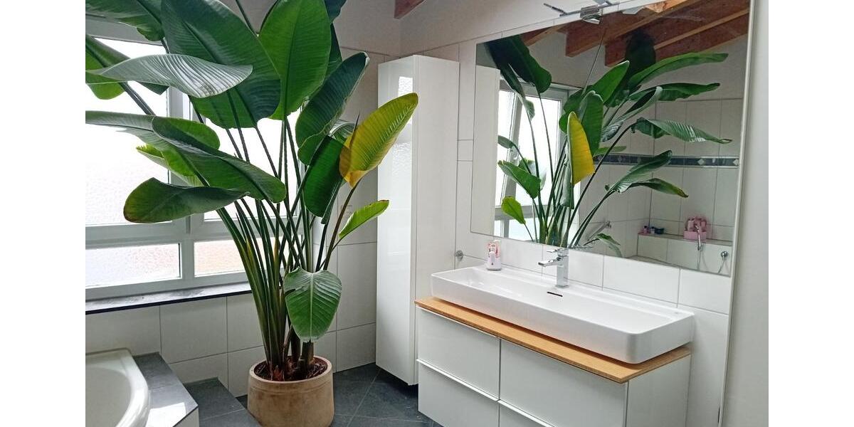 Großzügige Penthouse-Wohnung (ca. 210 m²) zu vermieten 5.5 zimmer