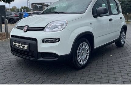 Fiat Panda 7.800 km 13.999 &euro; Potsdam 14482