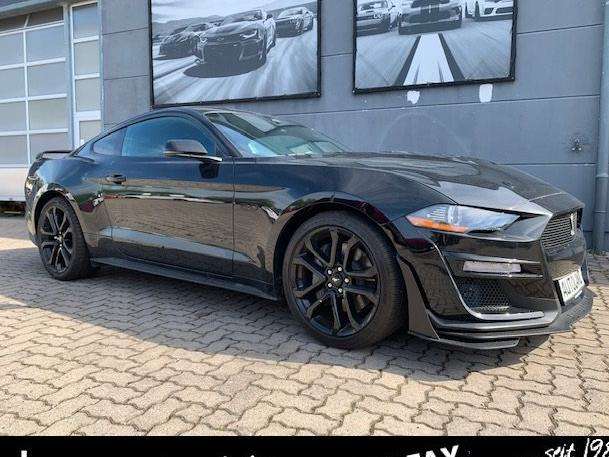 Mustang