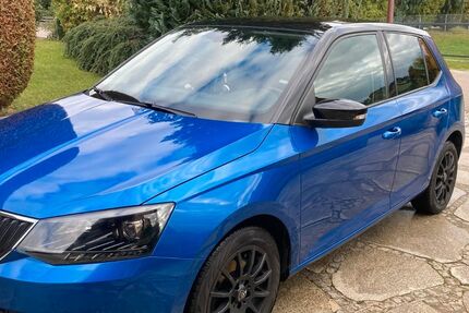Skoda Fabia 59.000 km 10.600 &euro; Floß 92685